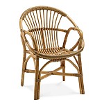 Foto CONCHIGLIA IN MANAO